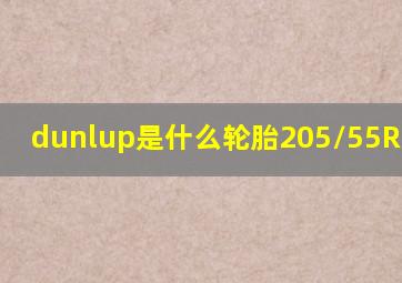 dunlup是什么轮胎205/55R16 91V